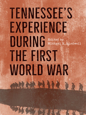 cover image of Tennessee's Experience during the First World War